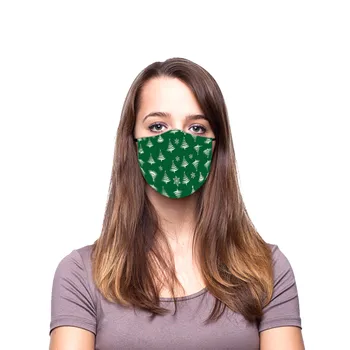 

1pc Christmas Adult Mask + 1pc Filter Reusable Washable Face Mask Adjustable Earloop Masks Xmas Party Masque Adulte Lavable
