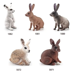 Figurine d'action lapin réaliste et délicate, jouet modèle d'action, cadeau éducatif pour garçons et filles avec d'excellents détails 