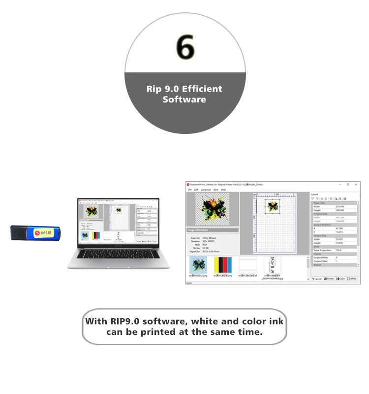 6