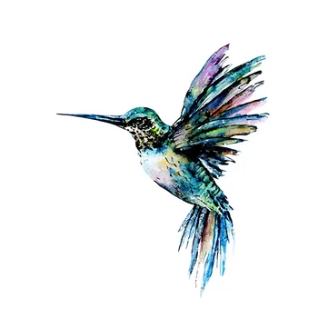 

Frameless Colorful Bird DIY Painting By Numbers Acrylic Paint On Canvas Painting Animals Coloring By Numbers For Home Decors