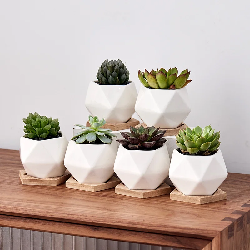 Céramique Succulent Plant Pots Mini Fleur jardiniere pot blanc avec base en métal Home 