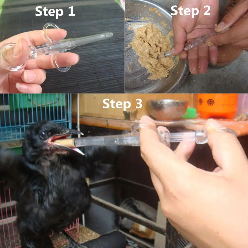 Young Birds Chick Feeding Syringe Parrot Pigeon Quail Nestling Feeder Given Medicines Feeder Animal Rearing Breeding Accessories for Bird Feeder