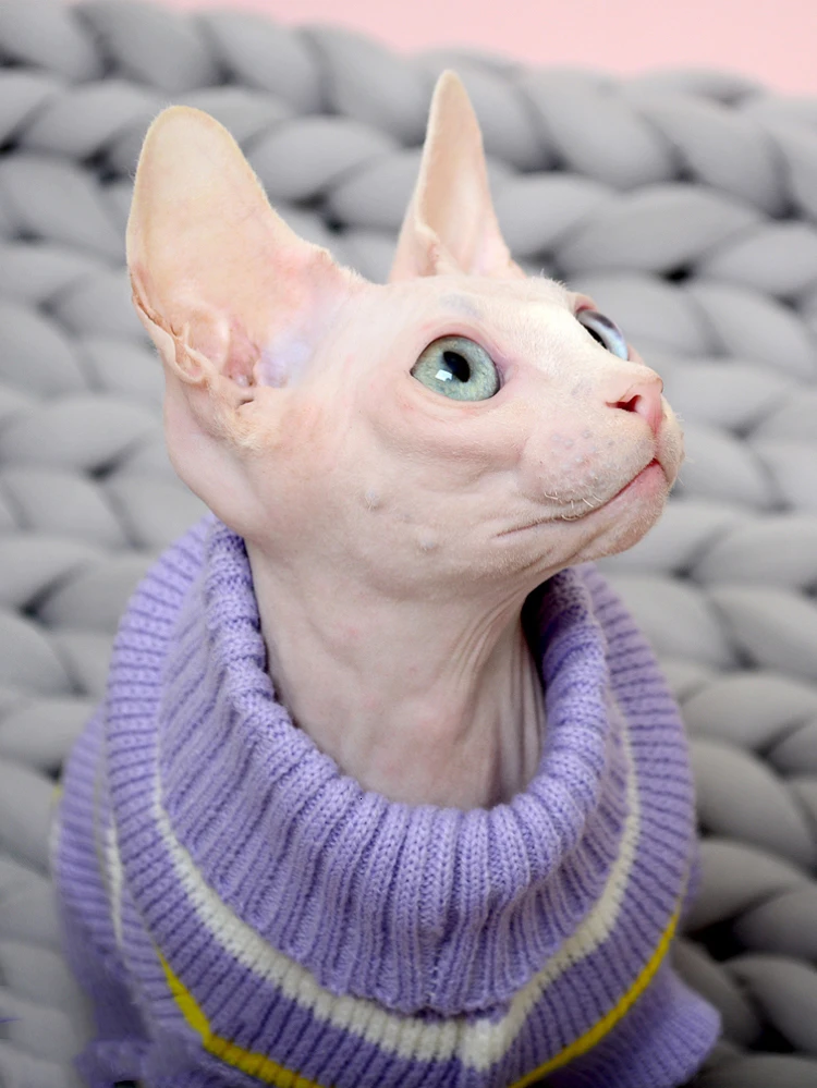 Одежда для кошек, теплый вязаный свитер для кошек, зимняя одежда для кошек, ручная работа, без волос, сфинкс