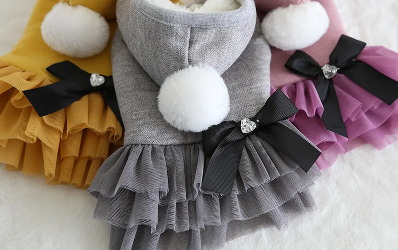 19AW25 (5)