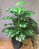 70cm 18 Leaf C