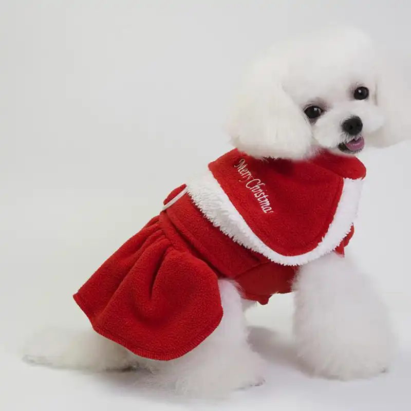 little dog christmas outfits