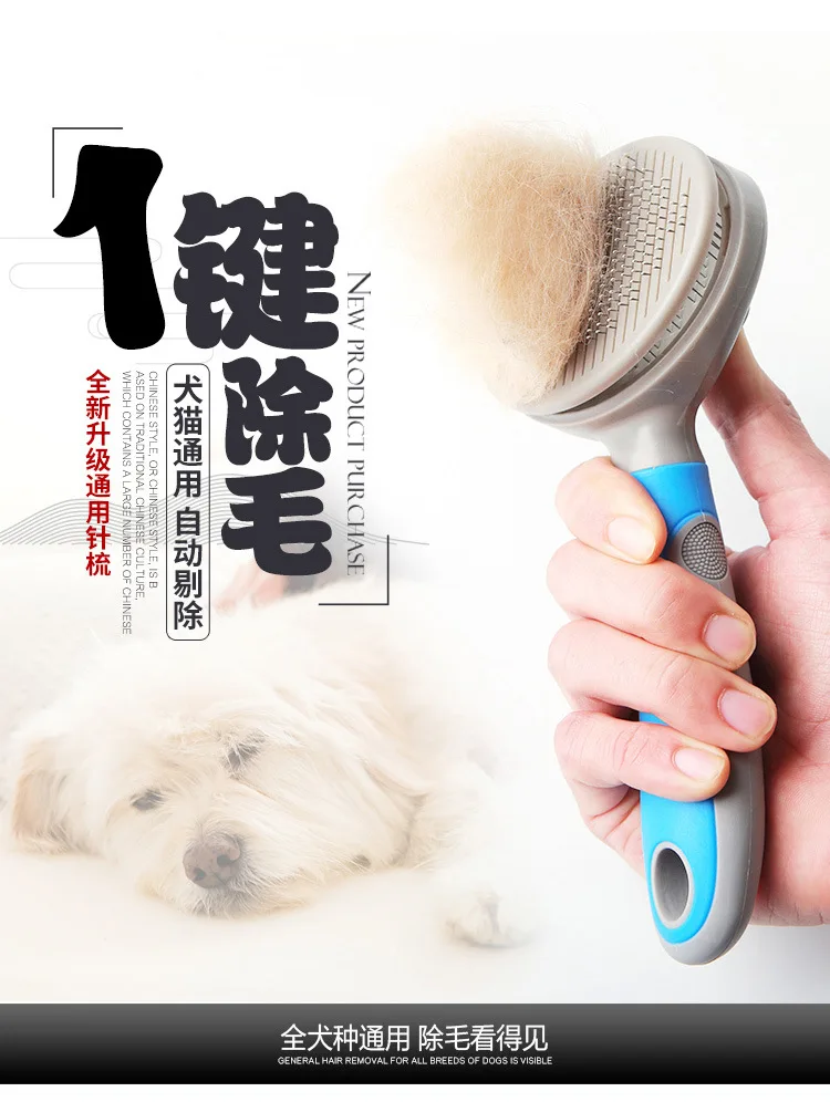 10873410938_463075732