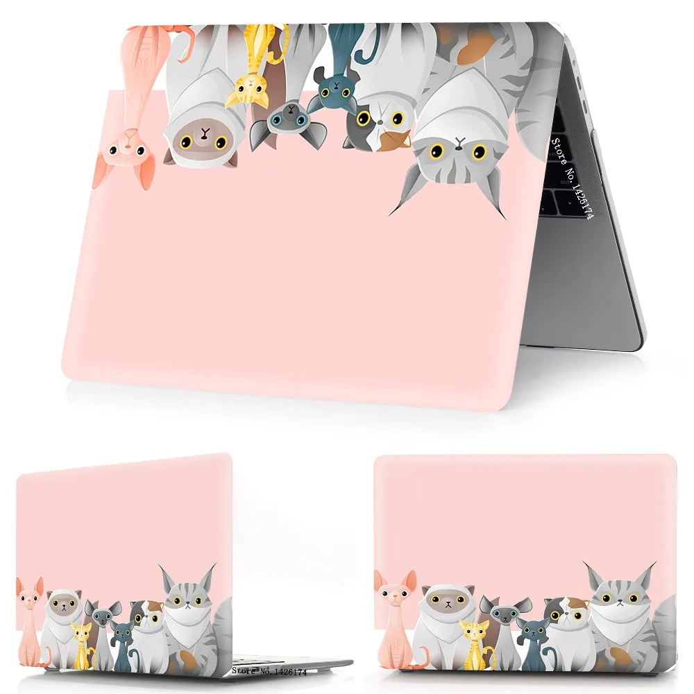 猫咪团队-3 副本