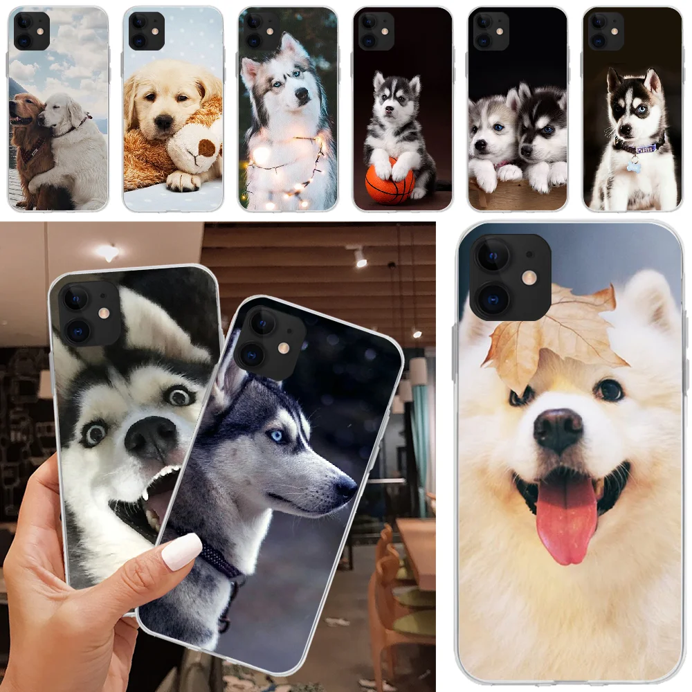 Мягкий чехол ByLoving Animal Husky для iPhone 5C 5 5S SE 7 8 plus X XS XR MAX 11 pro Pro Max | Мобильные телефоны и