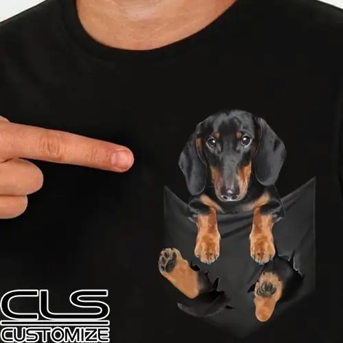 pocket dachshund