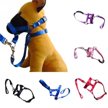 

Nylon Dogs Head Collar Dog Training Halter Blue Red Black Colors S /M /L /XL/ XXL Sizes