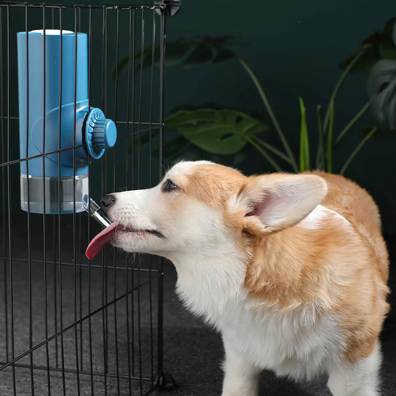 Automatic Drinking Bottle Hanging Cage Type 700mL Dispenser Firm Fountain |