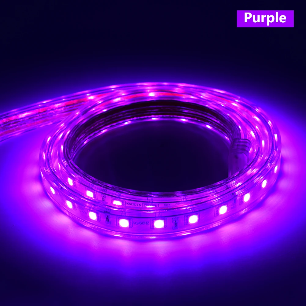 

1M/5M/10M/15M EU RGB Adapter Tape SMD 5050 Waterproof Tape AC 220V Power Supply LED Strip Lights RGB Flexible diode Ribbon