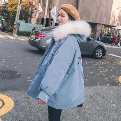 

2019 Winter New Style Back Bow Large Fur Collar Hooded Cotton-padded Clothes Korean-style Solid Color Loose-Fit WOMEN'S Quilted