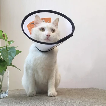 

Transparent Dog Cat Protection Cover Wound Healing Cone Protective Pet Medical Collar Smart Recovery Cone Prevent Bite Pretty