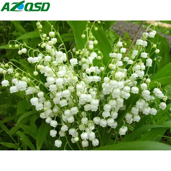 

AZQSD 5D Diamond Painting Flowers Full Square/Round Home Decortion Diamond Embroidery Mosaic Floral Full Kits DIY Needlework