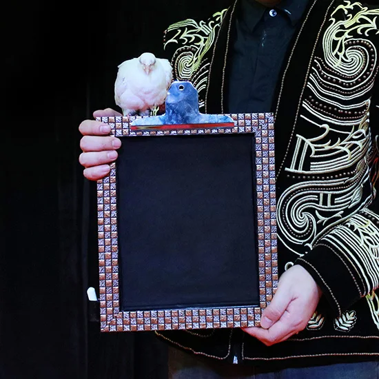 

Object from Blackboard Stage Magic Tricks Illusions Gimmick Drawing Board Dove Vanishing From Board Party Magic Show Comedy Joke
