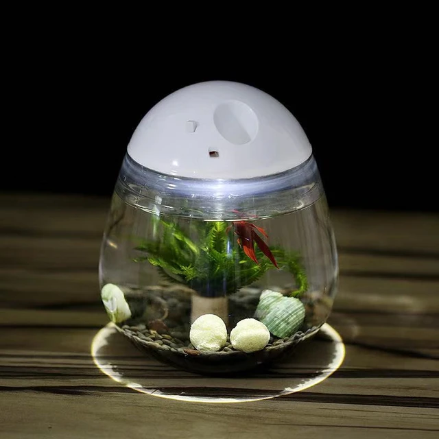 Creative Desktop Ecological Landscaping Fish Tank Small Goldfish Tank Mini  Betta Fish Tank Desk Decoration Aquarium Accessories， - AliExpress