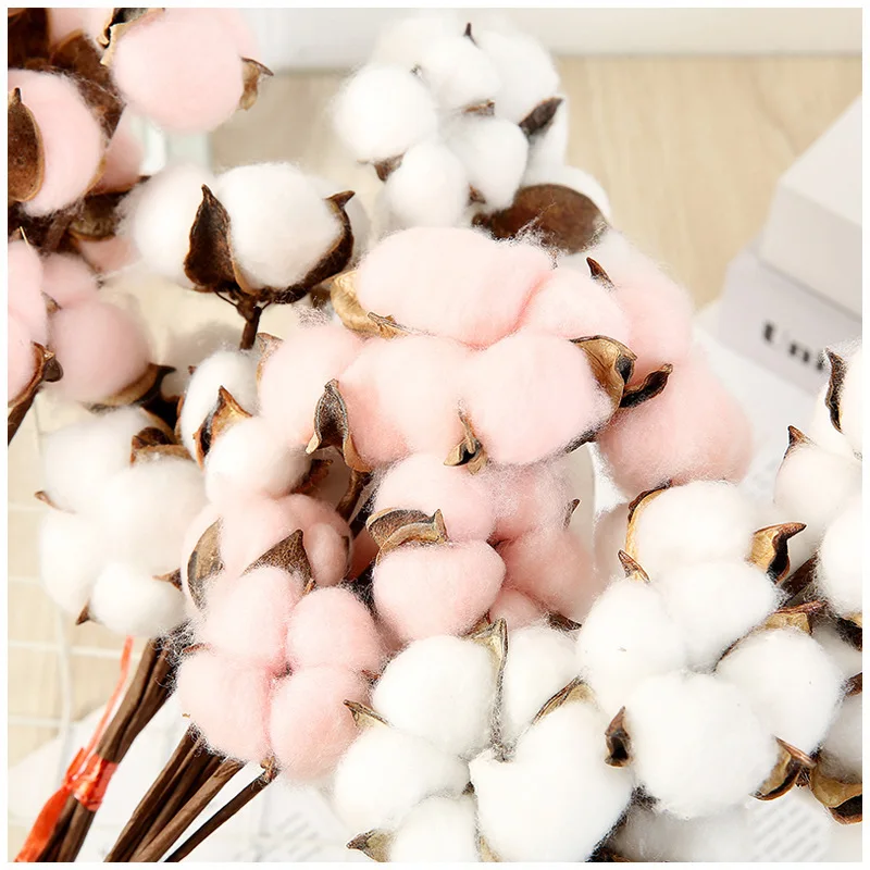 21226541359_1886054192