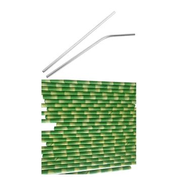 

100Pcs Stainless Steel Drinking Water Pipes Straws & 500Pcs Bamboo Pattern Paper Straws Wedding Straws Drinking