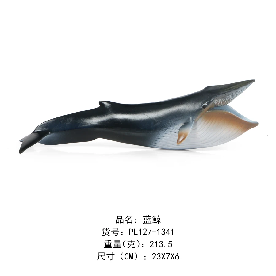 蓝鲸-1341