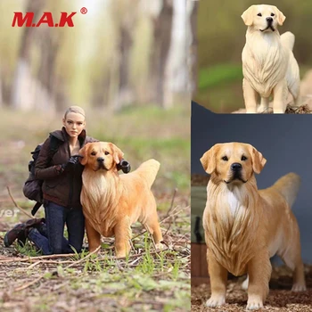 

Collections Mr.Z 1/6 Scale Golden Retriever Animal Dog Model Toy for 12 inches Action Figure Accessories