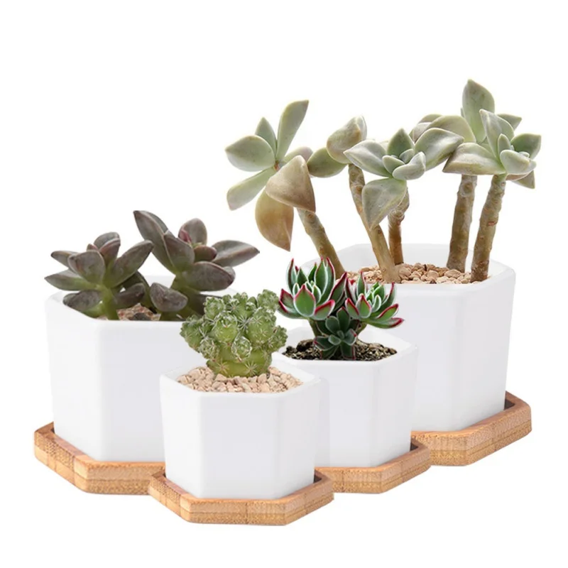 

Bamboo Round Square Plant Tray Coaster Bowls Plates For Succulents Pots Trays Base Stander Garden Decor Home Decoration Crafts