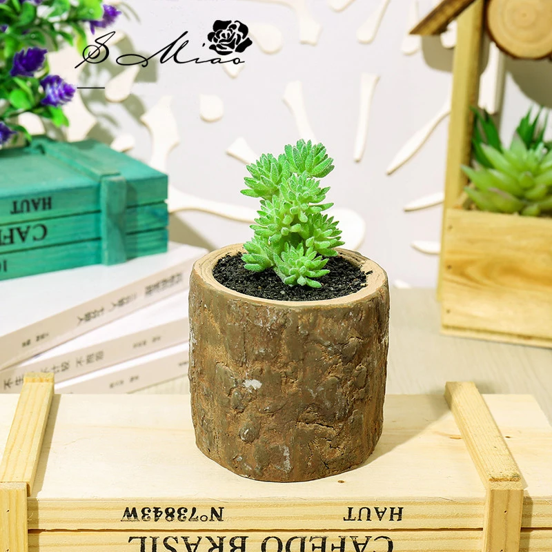 11344472181_98600638