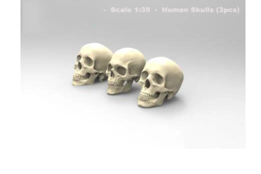 1/35 RESIN Skulls Set modern parts  Resin Model Miniature  figure Unassembly Unpainted