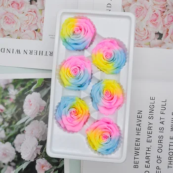 

Preserved Flower Immortal Rose Flower 5-6CM Mothers Day DIY Gift Eternal Life Flower Valentine Wedding Material 6pcs/box