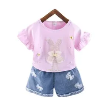 Ropa de dibujos animados para niños, traje, Camiseta de encaje, pantalones cortos, 2 unids/set/conjunto, ropa deportiva de moda para bebés