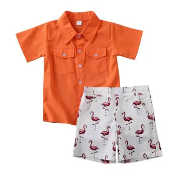 

2020 Newest Hot Toddler Infant Kids Baby Boy Summer Short Sleeve Pockets Shirt Tops+Flamingo Shorts 2pcs Summer Outfits Clothes