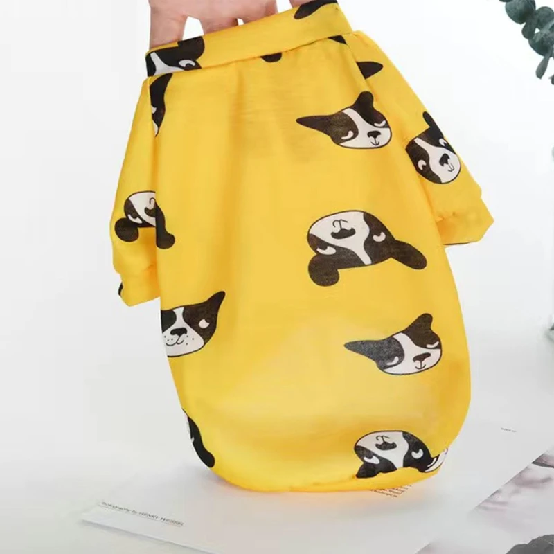 Kedi Kazağı