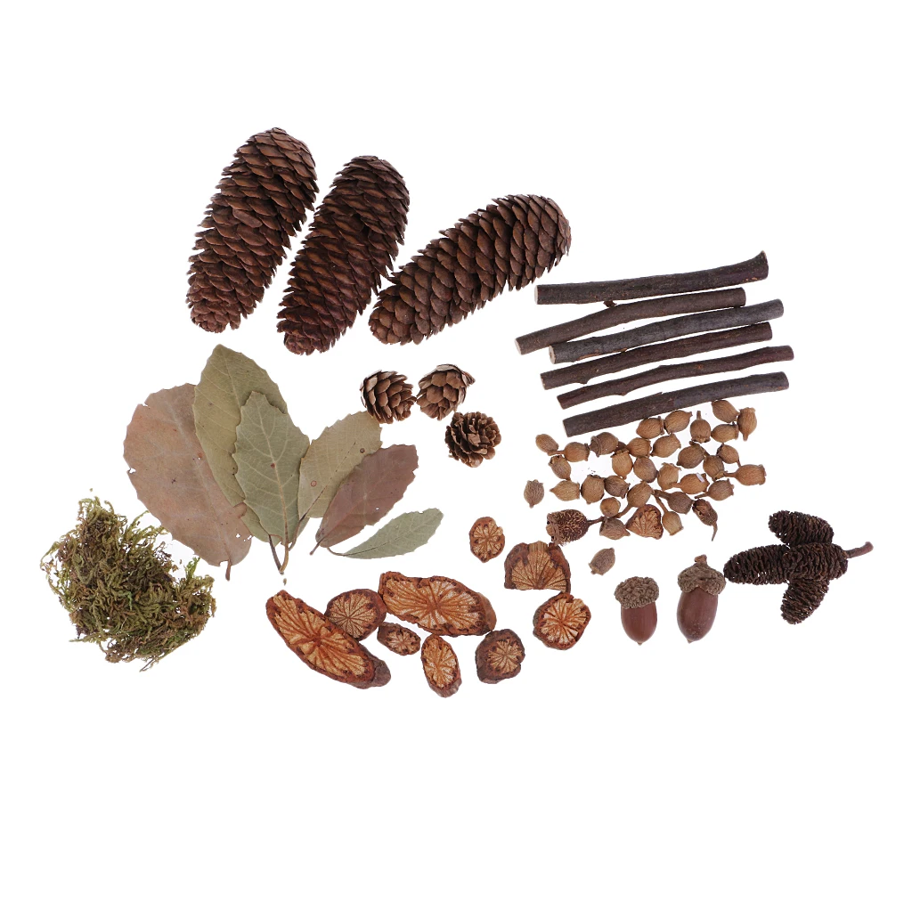 Mini Natural Rustic Dried Pine Cones In Bulk For Christmas Party Ornament DIY Decoration Dried Flowers Leaves Plants Ornaments