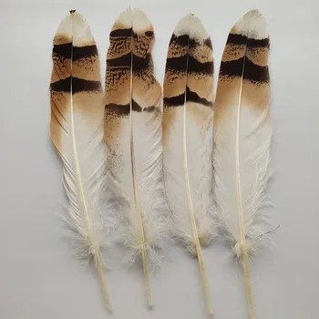 

Wholesale 5pcs Beautiful 18-25cm/7-10inches Natural Pheasant Feathers For DIY Jewelry Craft Making Decoration