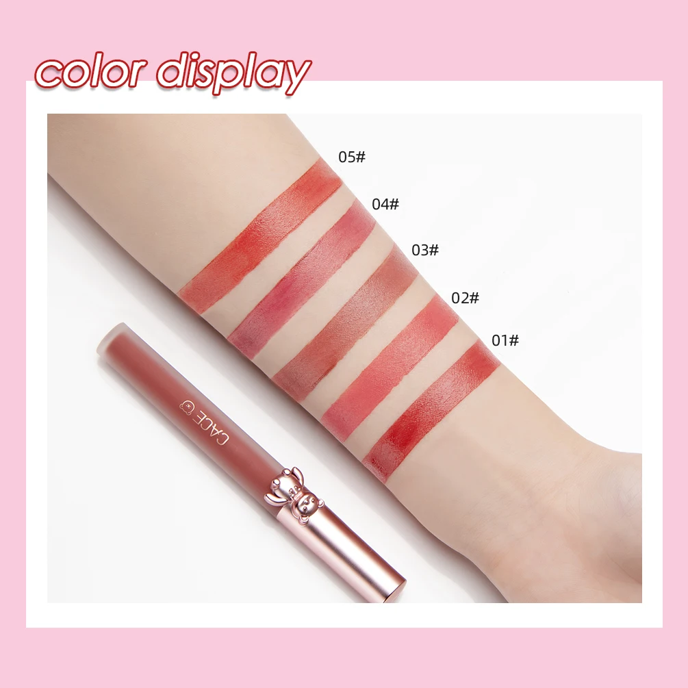 5 Colors Matte Lipgloss Sets Lightweight Lip Tint Waterproof Velvet-hazy Lip Mud Long-lasting Lip Gloss For Woman Makeup Kits 6