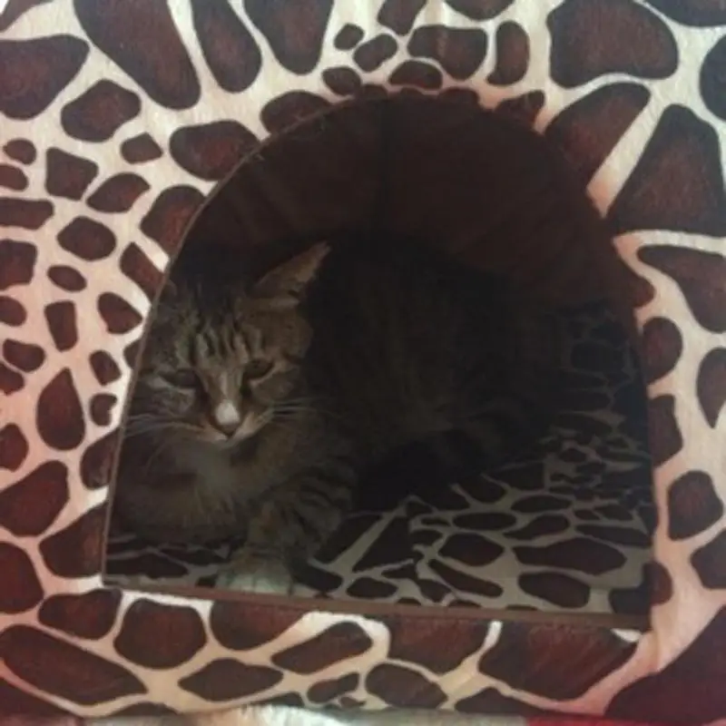Милый складной кошачий собачий дом теплая мягкая зимняя хлопковая собачка кошка кровать питомник флисовый уютный гнездо для кошек собак Pet товары для домашних животных