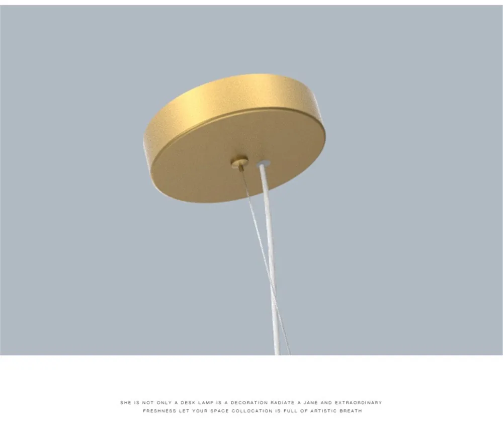 Loft Decor Post Modern LED Pendant Light Iron Gold Circle Glass Hanging Lamp Dining Room Indoor Lighting Fixtures Hanglamp (9)