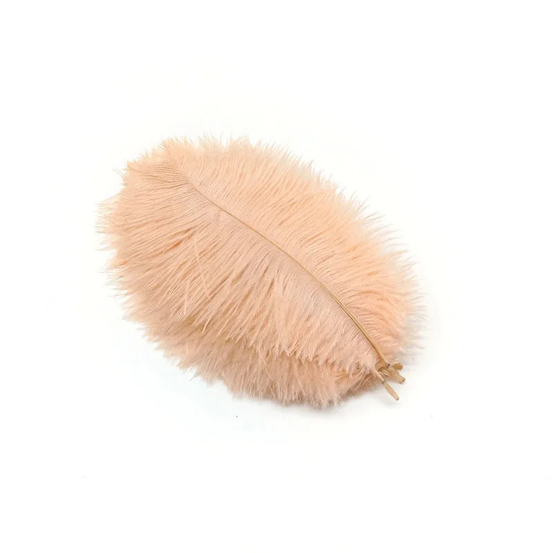 Champagne feathers