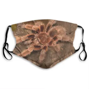 

Scary Spider Print Mouth Masks With Filter Washable And Reusable Anti Dust Breathable Mask With Adjustable Ear Loops For Men And