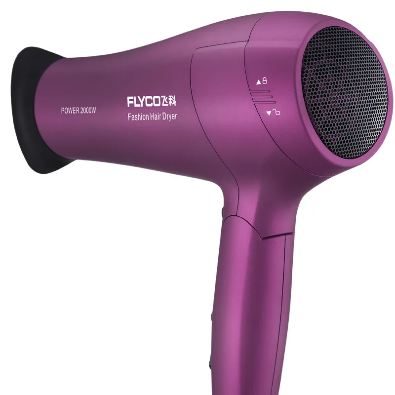 Shanghai Agent Flying Branch FH6618 Blow Dryer Hair Dryer 2000W Heating And Cooling Air High-Power Negative Ion Hair Care