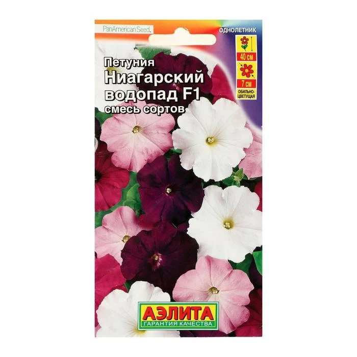 Petunia flowers "Niagara Bordeaux F1" Seeds from Russia. 
