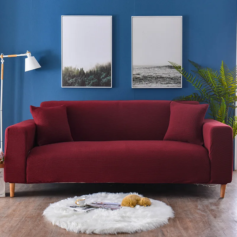 12836872021_813561669