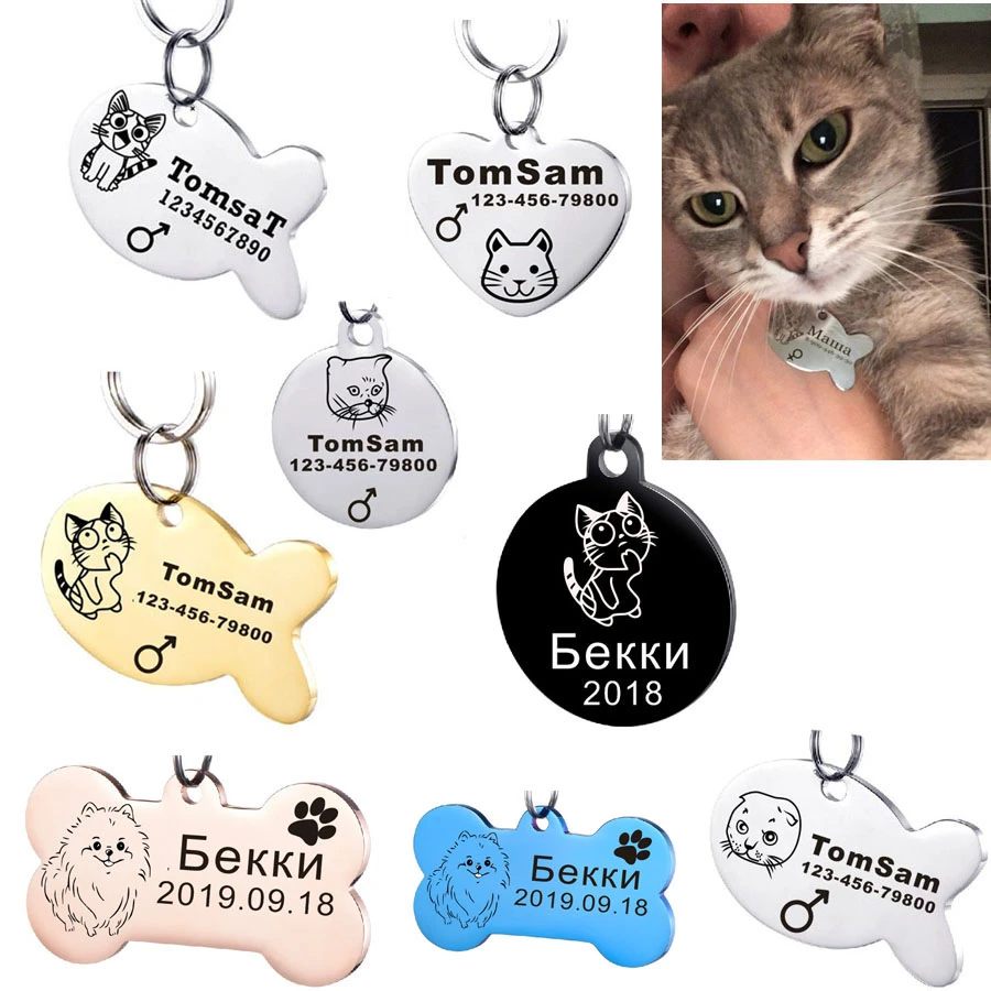 Etiquette D Identification De Chat Domestique Accessoire De Gravure Gratuite Nom Tel Etiquettes En Acier Inoxydable Message Personnalise Collier De Chiot Etiquette D Identification De Chat Personnalisee Aliexpress