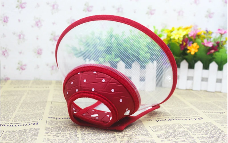 3754683188_1897535323