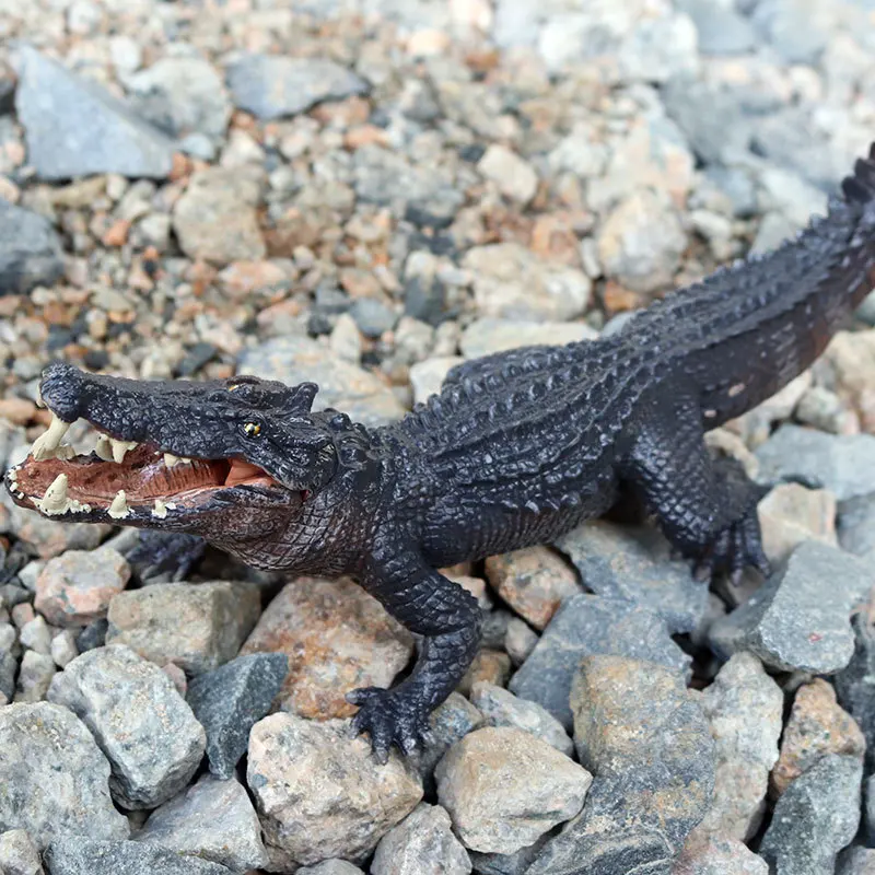 Simulazione Wild Crocodile Figure giocattoli da collezione - Main Image