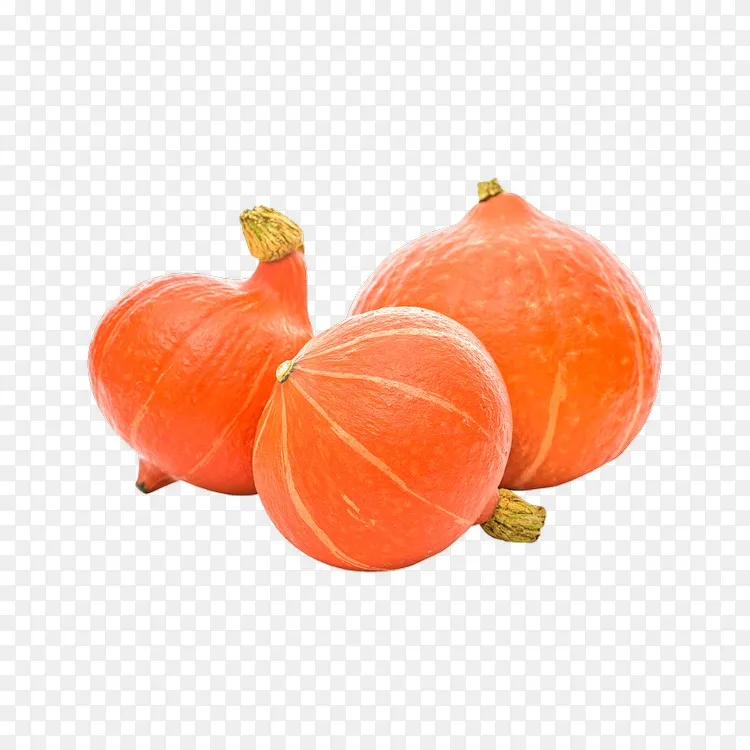 南瓜葫芦冬瓜红南瓜-欧元符号