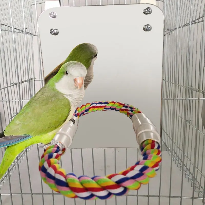 Попугай веселый для животных игрушечное зеркало Cockatiel Маленькие Птицы попугаи