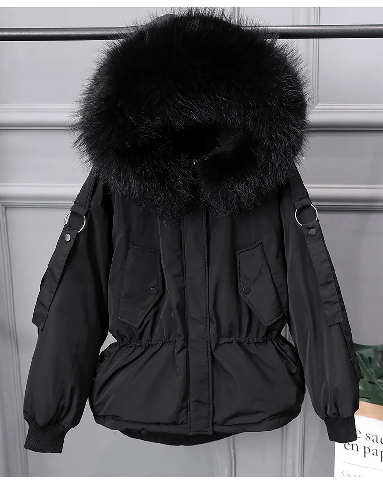 9591195574_246561824