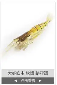 Приманка 15см5г выдолбленная лапша червь длинный рулон оверплюс заказ хвост червь земляной червь лапша Мягкая приманка червяк с солью мягкий червь